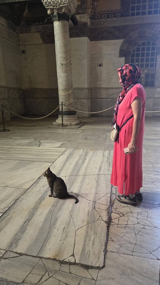 Hillary and a cat in Hagia Sophia