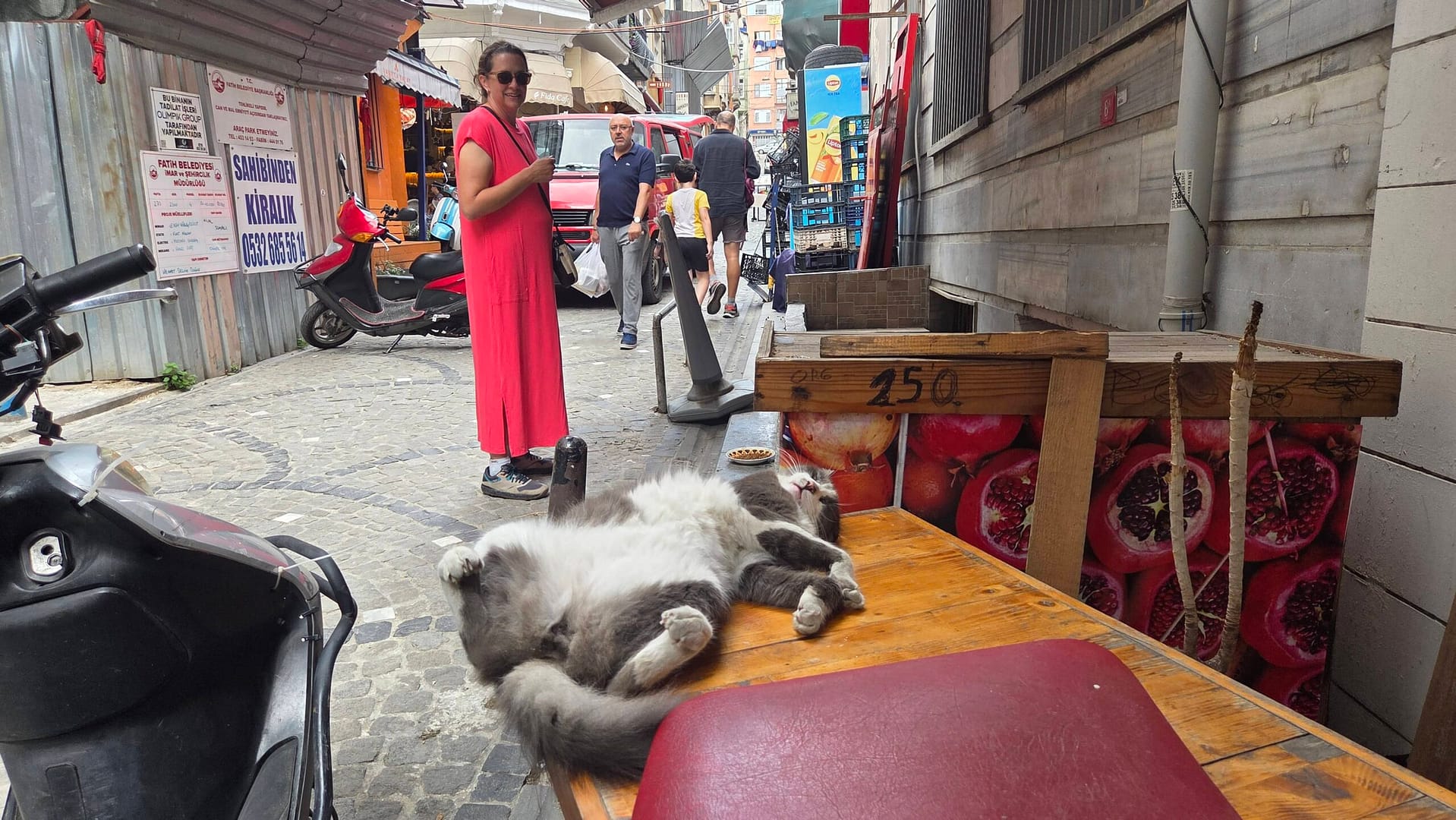 Sprawled out in Fener