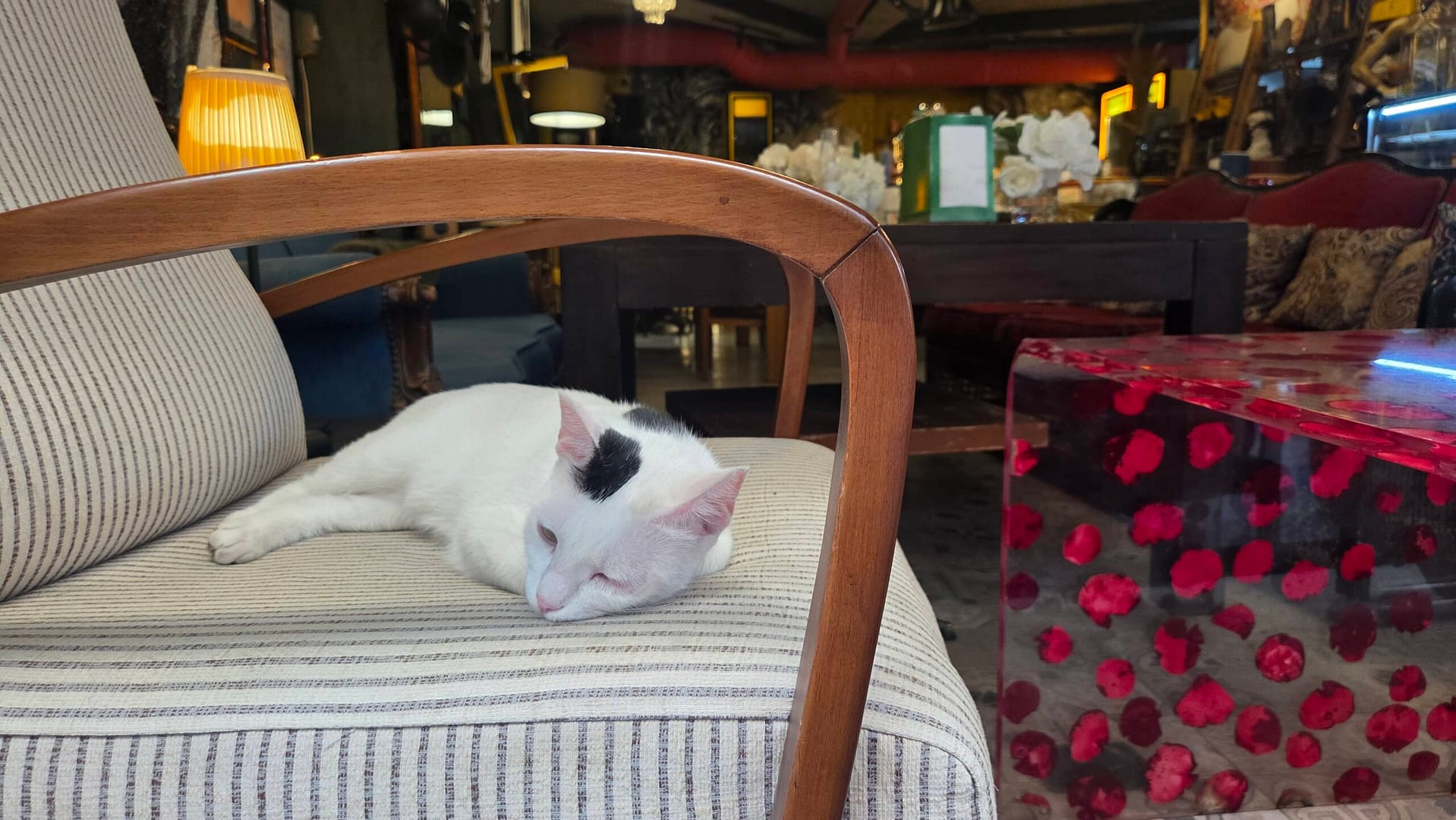 Relaxing Afternoon at Galata Art Smyrna Restaurant