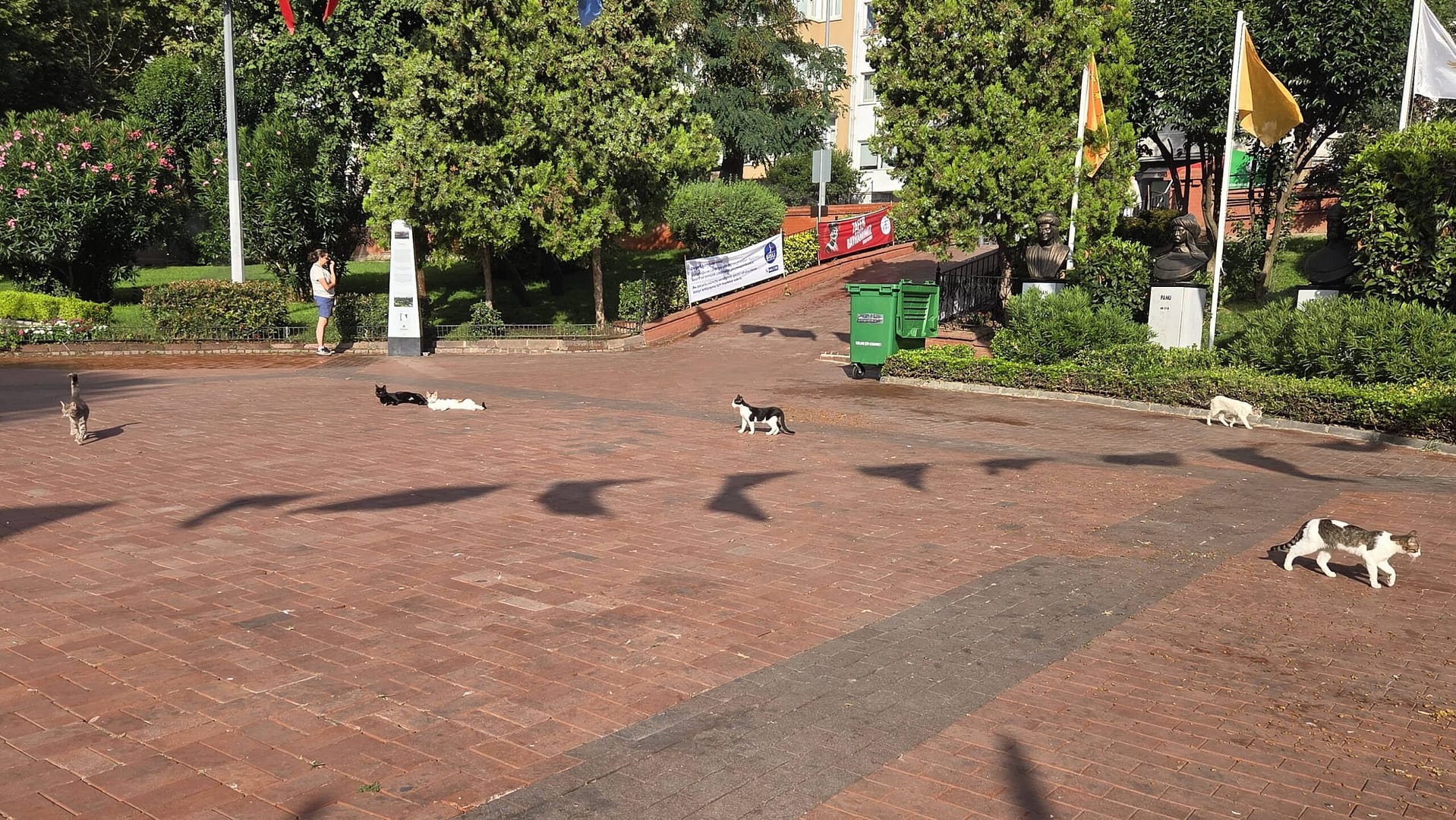 Group of very friendly cats in Maçka Sanat Park