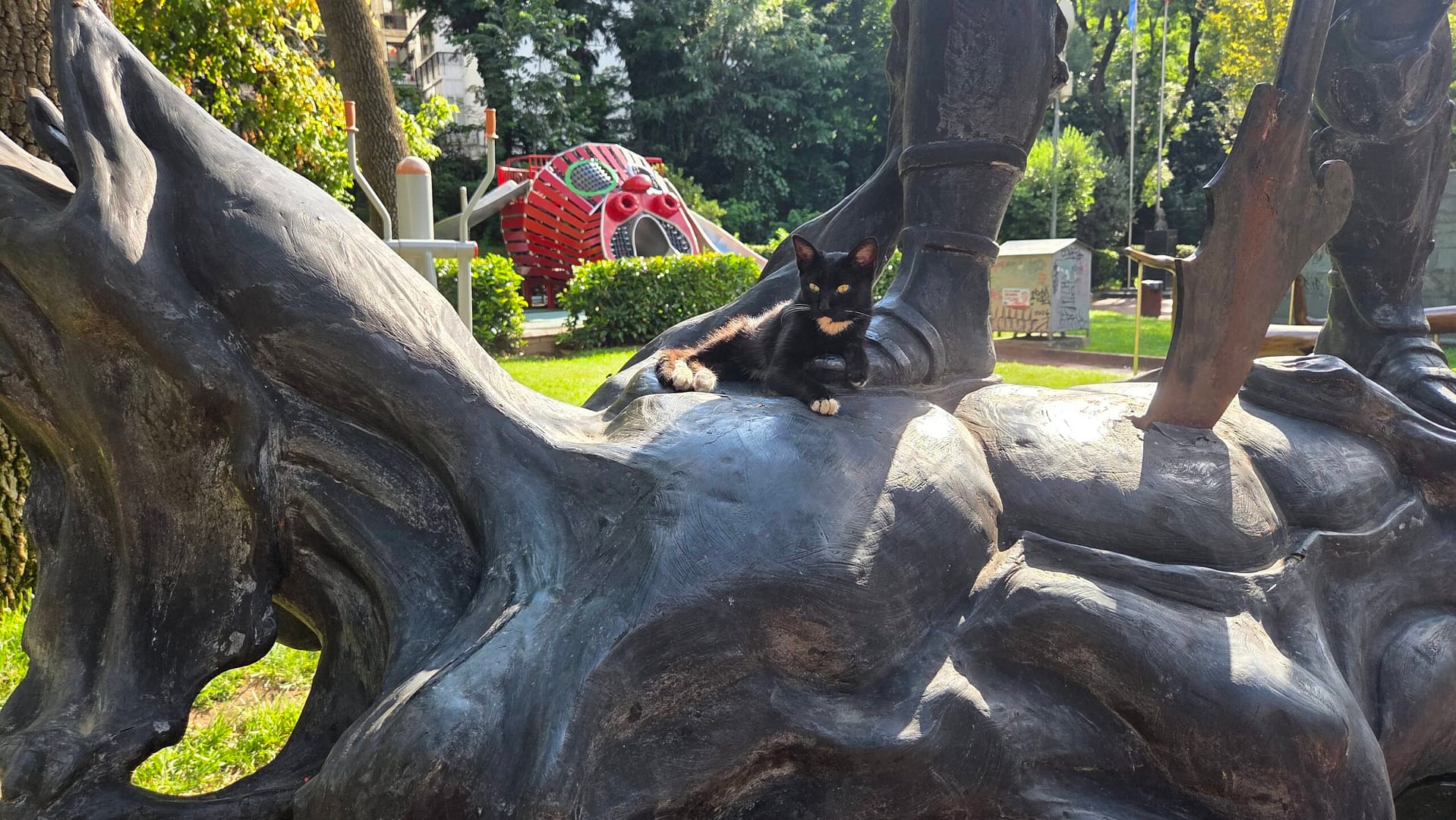 This cat owns the statue in Maçka Sanat Park