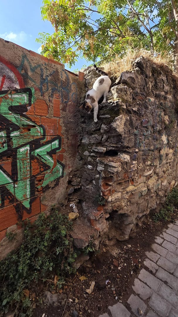Climbing the walls next to our Airbnb