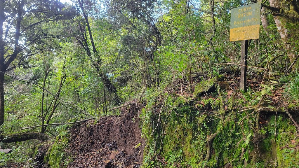 Volcan Baru trail at 7.5 km