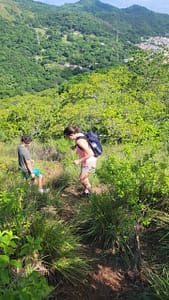 Steep Downhill from Cerra de la Cruz on Taboga Island