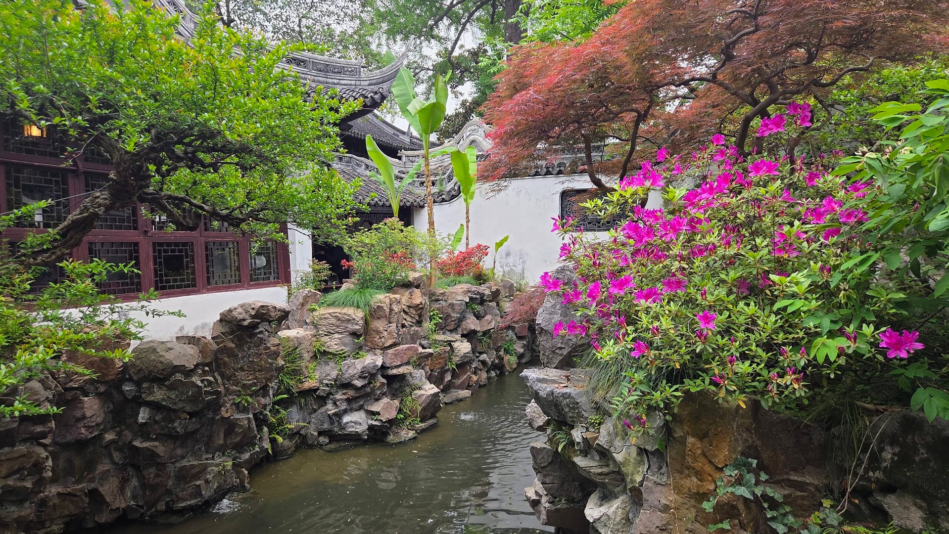 Yuyuan Garden