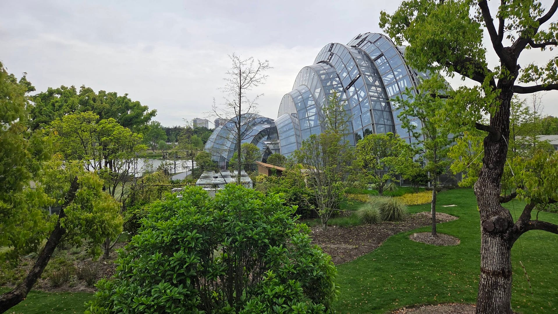 Shanghai Botanical Garden