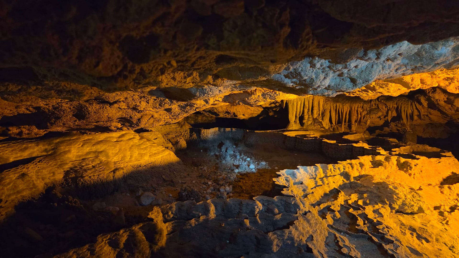 Florida Caverns State Park