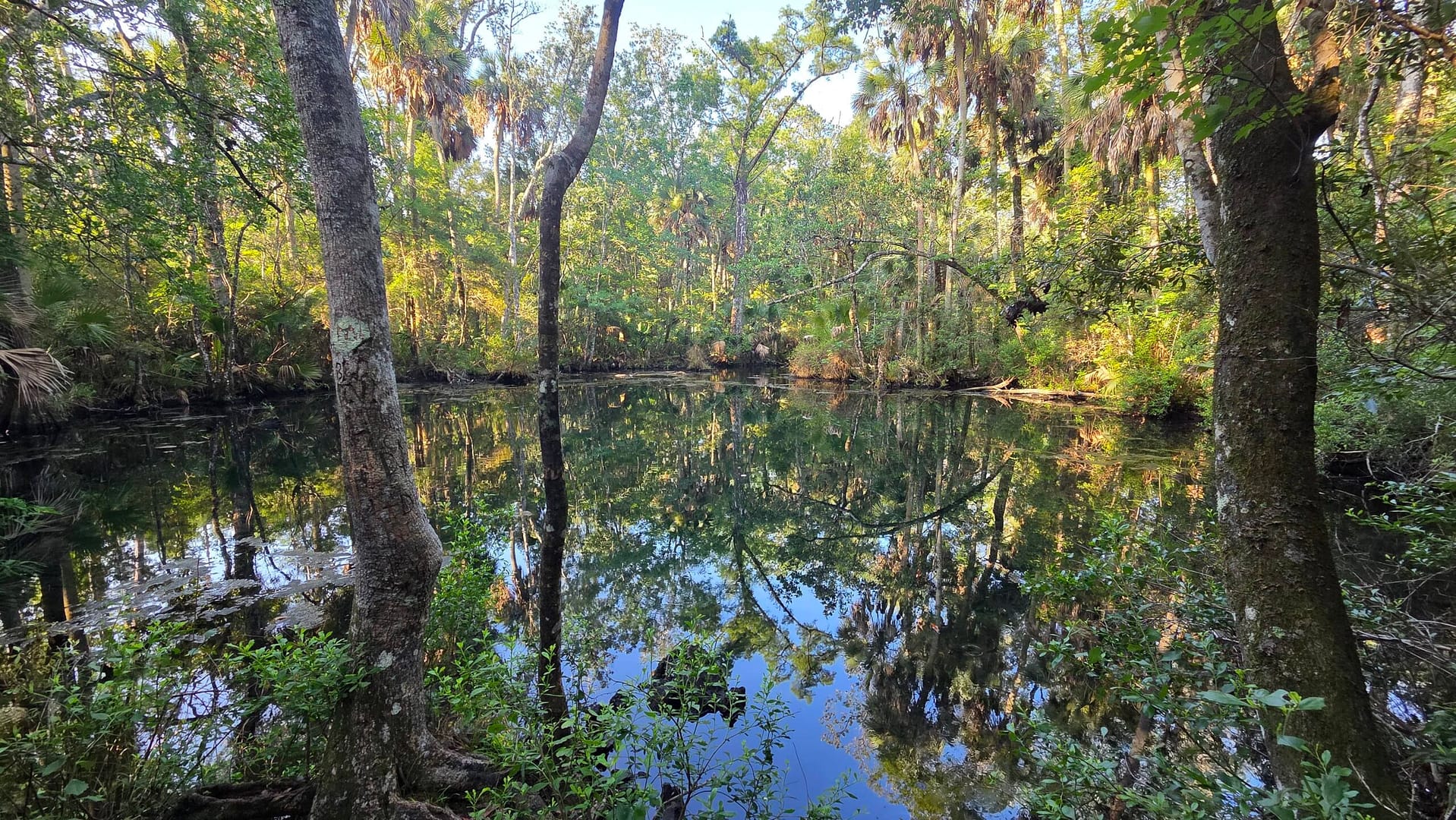 Shepherd Spring