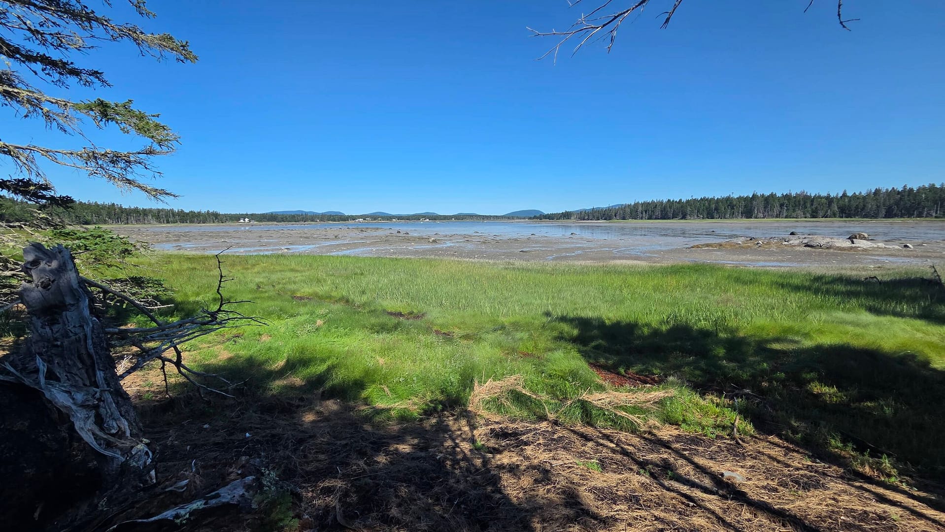 "The Pond" on Great Cranberry Island