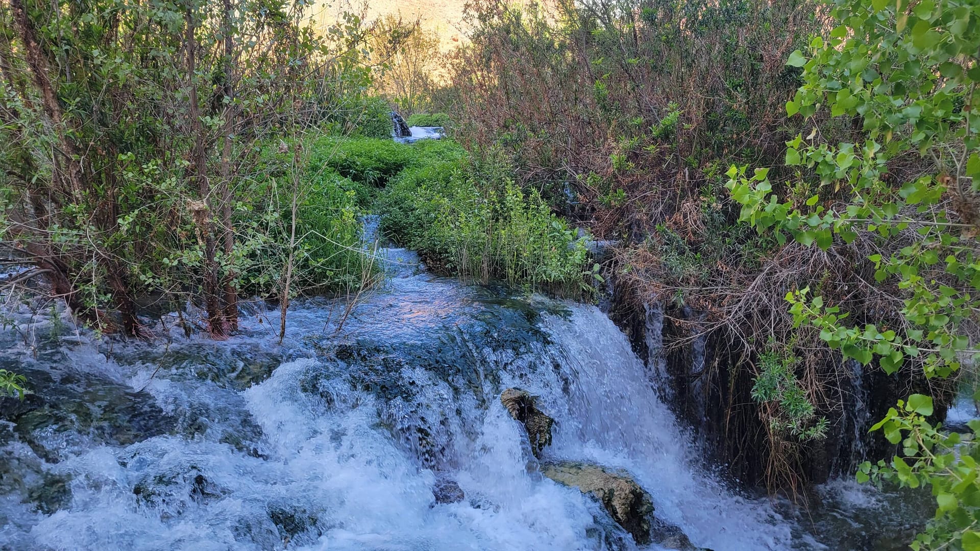 Navajo Falls