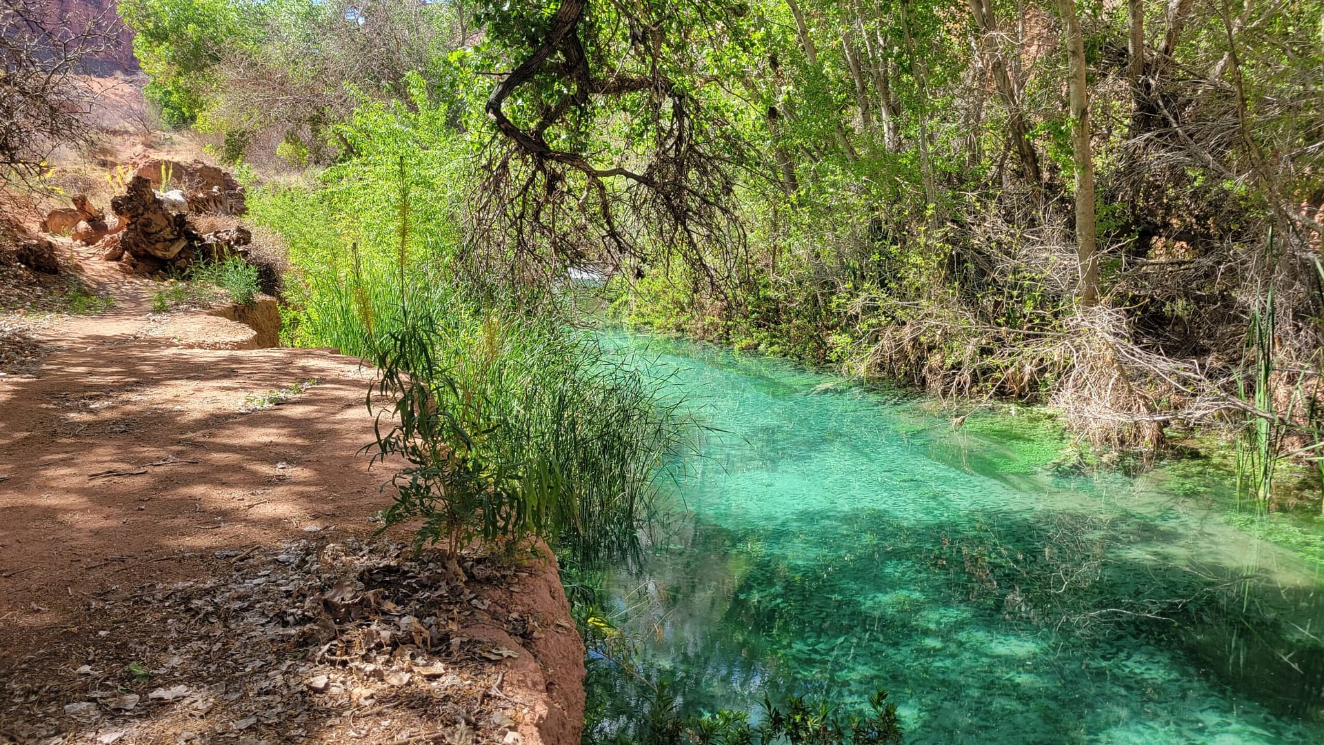 Beautiful Blue-Green Color of Havasu Creek