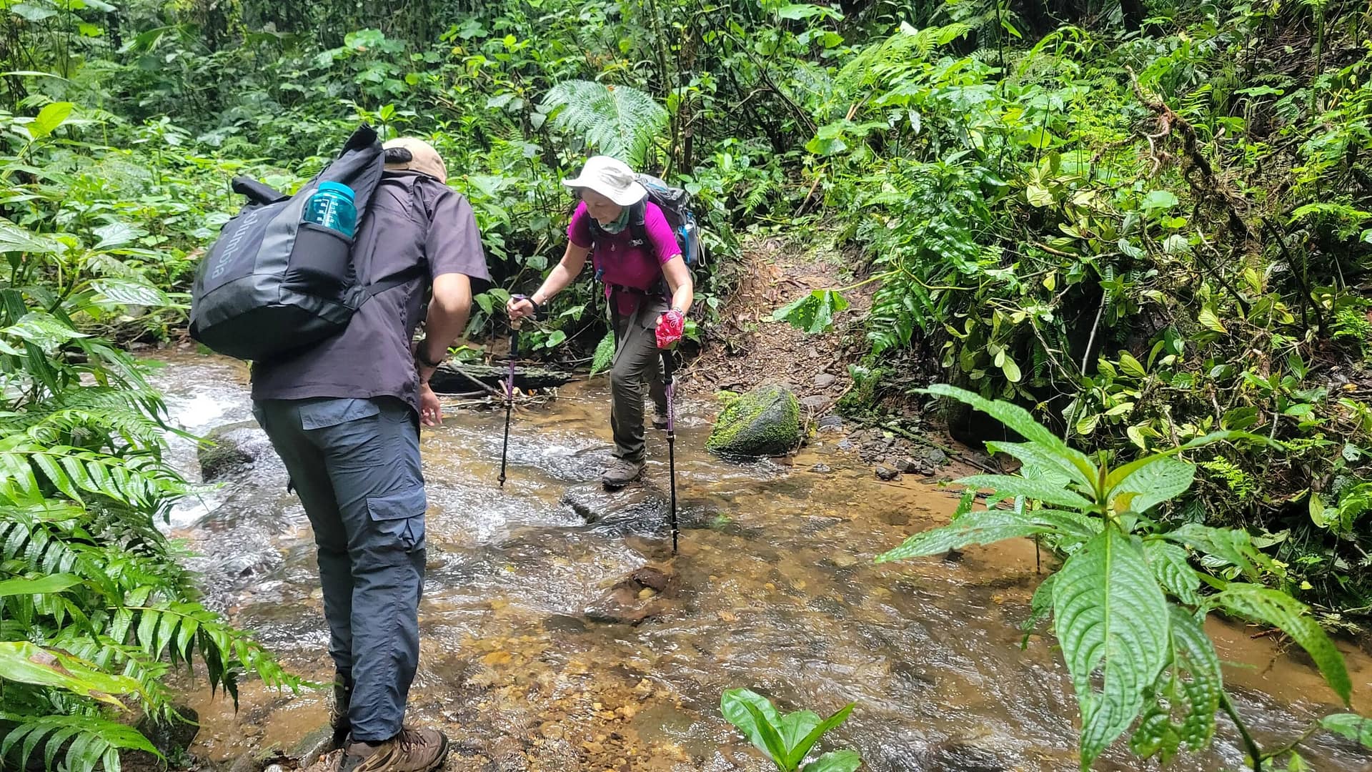 River Crossing in the Cloud Forest