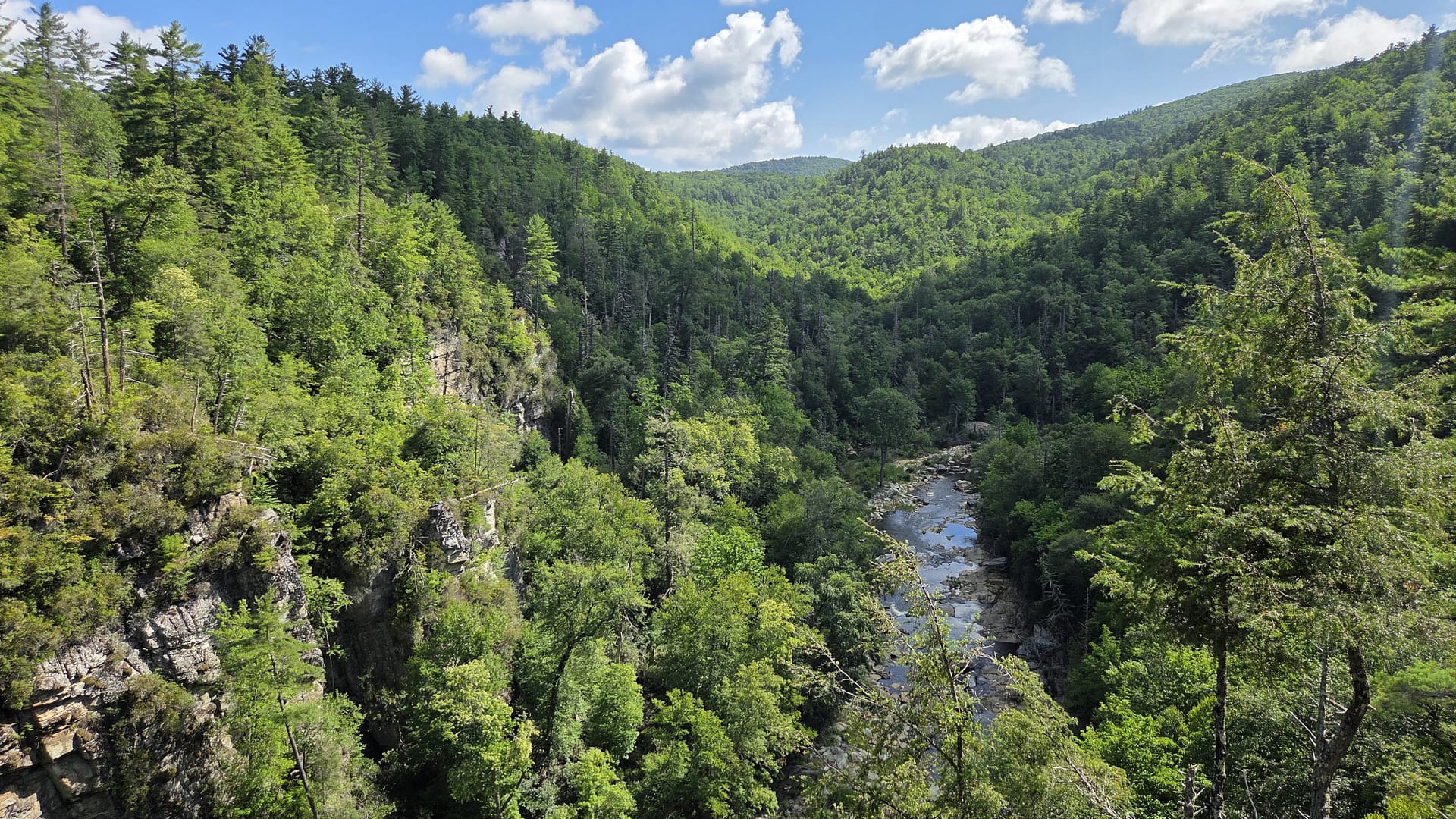 Linville Gorge