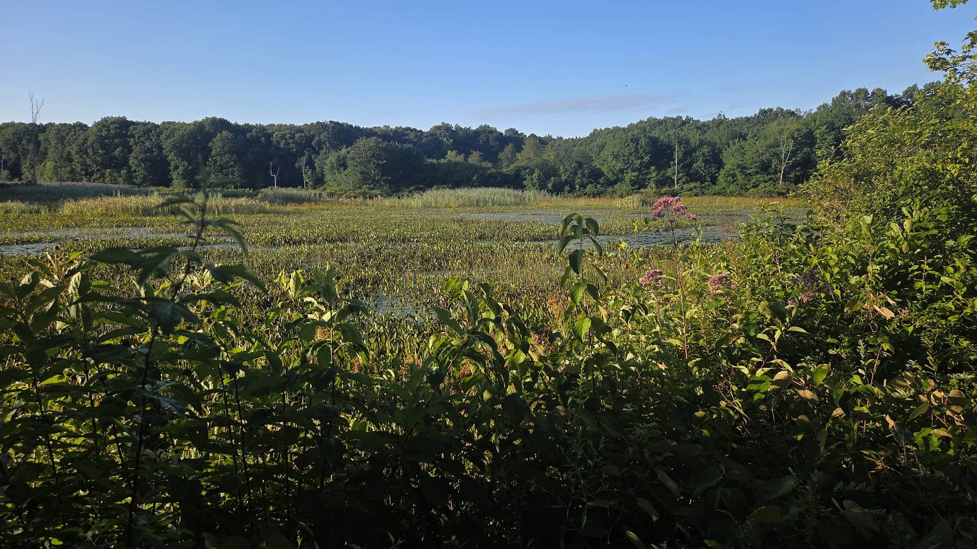 A Beautiful Morning on the Airline Trail in Amston Connecticut
