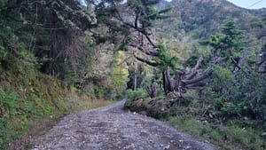 Hiking Volcan Baru at 1-2 Miles