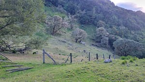 Finca el Oasis on Volcan Baru