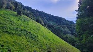 Finca el Oasis Zipline