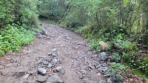 Volcan Baru trail beyond 6 km