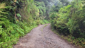 Volcan Baru trail about 10 km