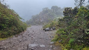 Volcan Baru Trail about 10 km