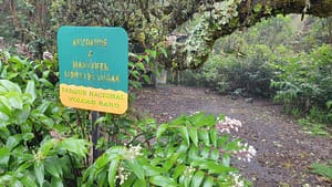 Camping Area on Volcan Baru