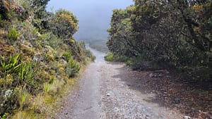 Approaching the Summit of Volcan Baru