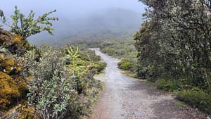 Approaching the Summit of Volcan Baru