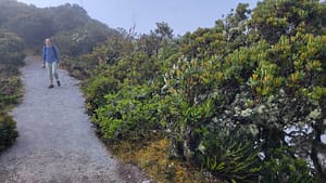 Summit Trail to the Cross on Volcan Baru