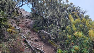 Summit Trail to the Cross on Volcan Baru