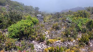 View from the top of Volcan Baru