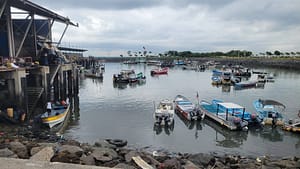 Boats at Mercado de Marisco Cinta Costera