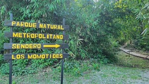 Metropolitan Natural Park - Los Momotides Trail