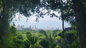 Panama City view from Metropolitan Natural Park