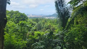 Panama City view from Metropolitan Natural Park