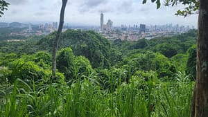 Panama City view from Metropolitan Natural Park