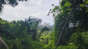 Panama City view from Metropolitan Natural Park