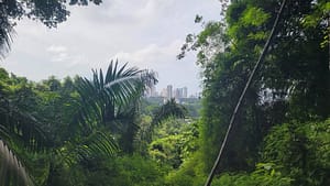 Panama City view from Metropolitan Natural Park