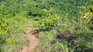 The Trail to Cerra de la Cruz is Steep at Times