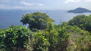 View from Cerra de la Cruz on Taboga Island