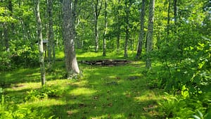 A Natural Field Where the Appalachian Trail Splits from the Spy Rock Summit