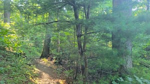 Along the Appalachian Trail Between The Priest and Spy Rock