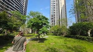 Green space within the bounds of the NYU Shanghai dorms.