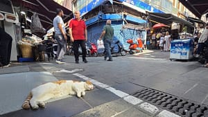 Among the Shops and Restaurants of Kadikoy