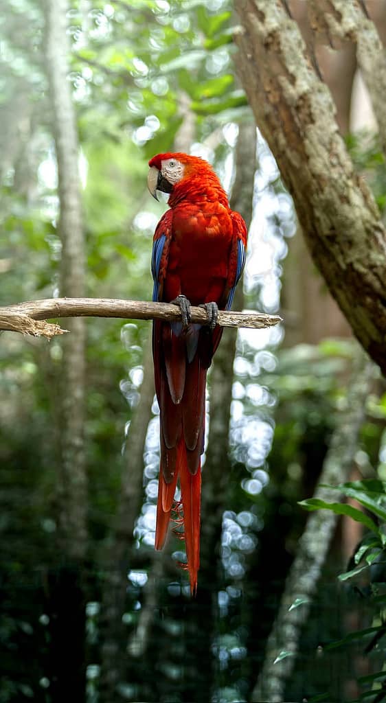 Costa Rica is full of wildlife.