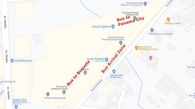 Bus Terminal in David with Departure Zones for Boquete and Panama City