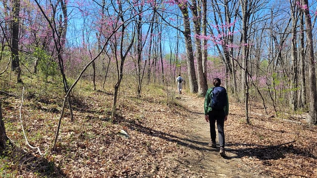 Hiking and walking are both excellent activities before and during active retirement. They help the brain and eyes.