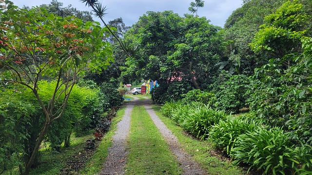 Finca Dos Jefes Values Biodiversity in Coffee Management