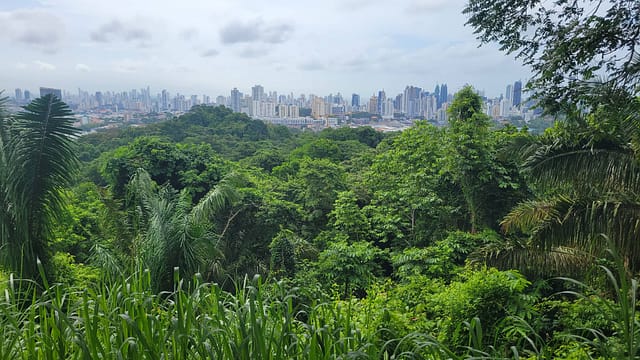 Panama City view from Metropolitan Natural Park