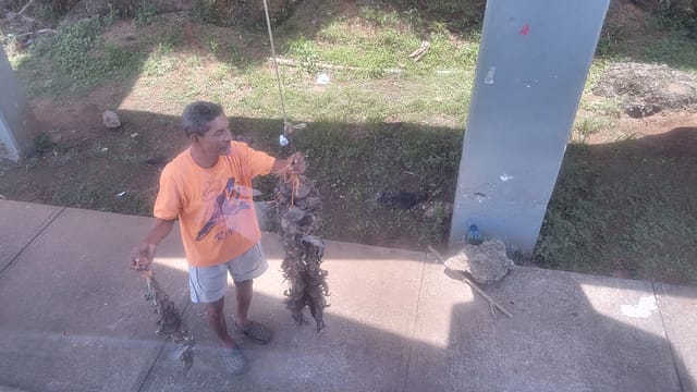 Roadside Seller Offering Crabs