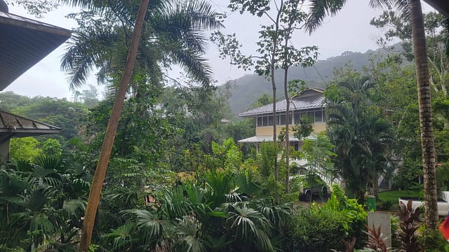 1930s Era Housing for Managers now Homes in Gamboa.